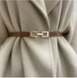 Brown belt with gold decorative buckle